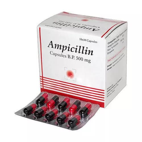 AMPICILLIN 500MG CAP